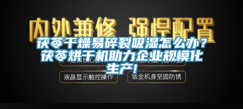 茯苓幹燥易碎裂吸濕怎麽辦？茯苓烘幹機助力企業規模化生產!