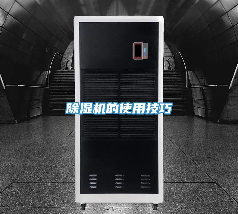 香蕉视频国产的使用技巧