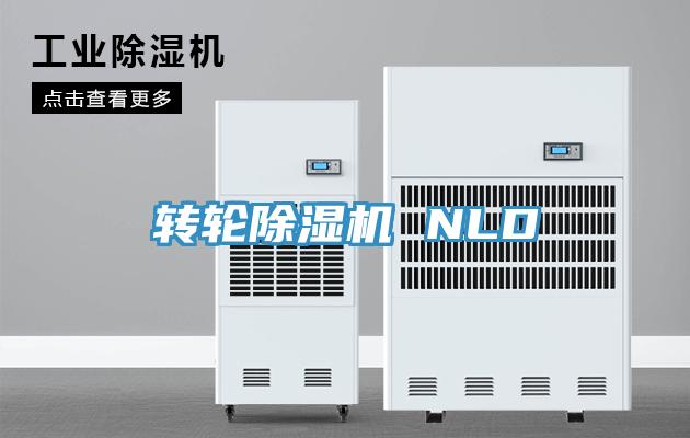 轉輪香蕉视频国产 NLD