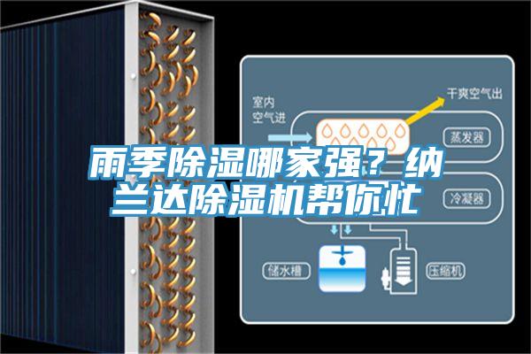 雨季除濕哪家強？納蘭達香蕉视频国产幫你忙