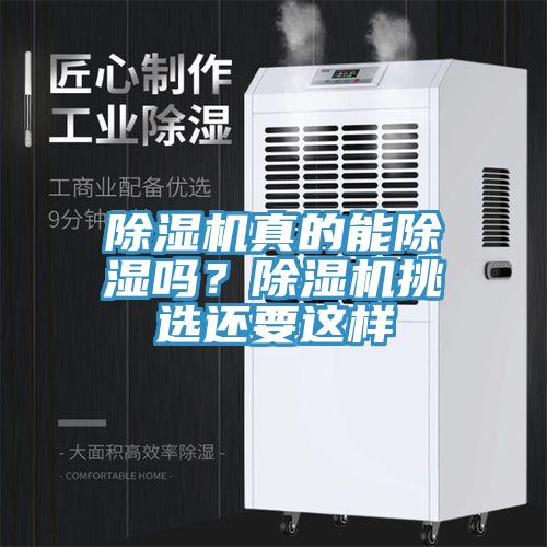 香蕉视频国产真的能除濕嗎？香蕉视频国产挑選還要這樣