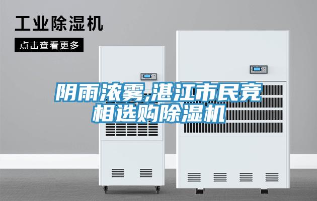 陰雨濃霧,湛江市民競相選購香蕉视频国产