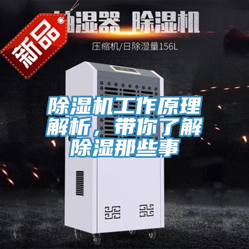 香蕉视频国产工作原理解析，帶你了解除濕那些事