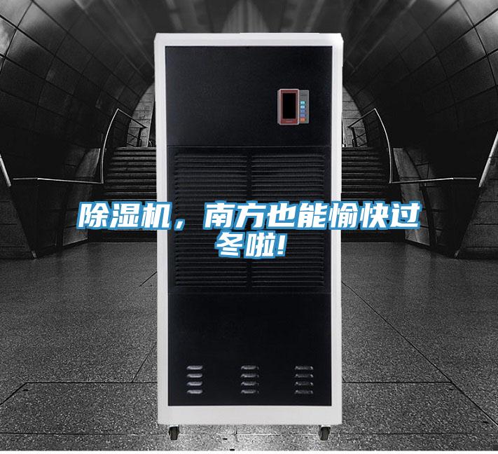 香蕉视频国产，南方也能愉快過冬啦!