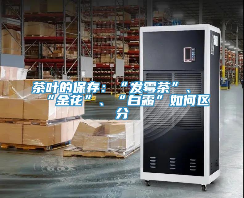 茶葉的保存：“發黴茶”、“金花”、“白霜”如何區分
