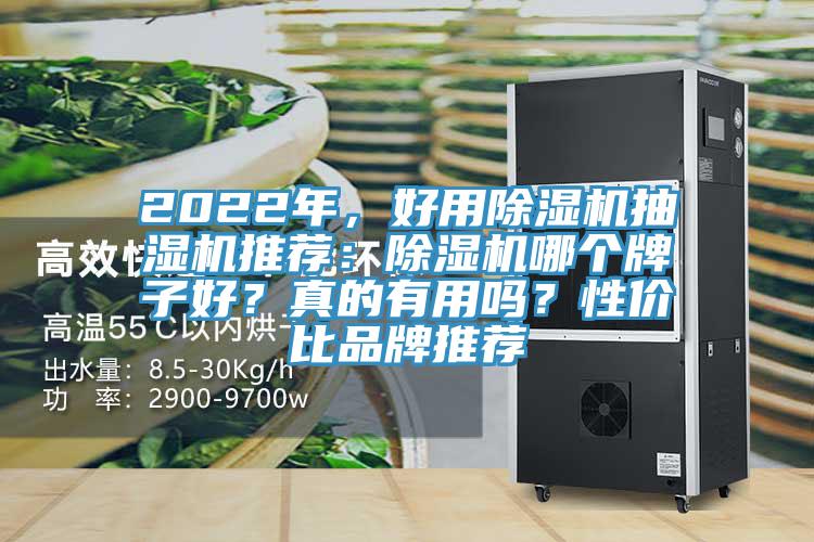 2022年，好用香蕉视频国产抽濕機推薦：香蕉视频国产哪個牌子好？真的有用嗎？性價比品牌推薦