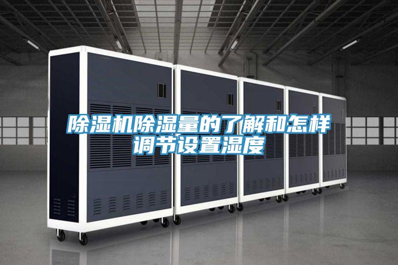 香蕉视频国产除濕量的了解和怎樣調節設置濕度