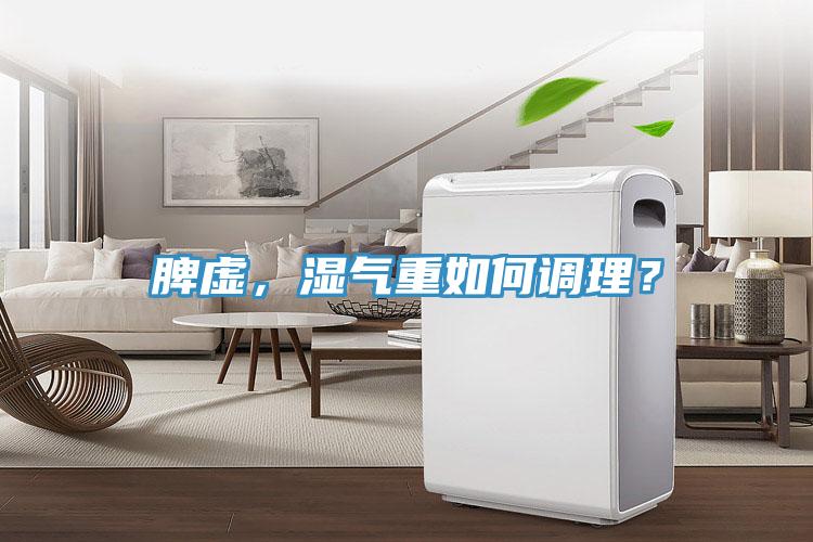 脾虛，濕氣重如何調理？