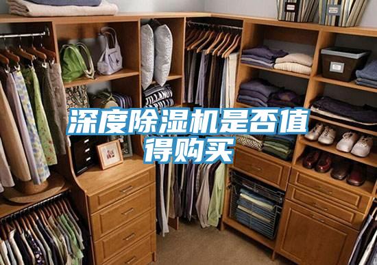 深度香蕉视频国产是否值得購買