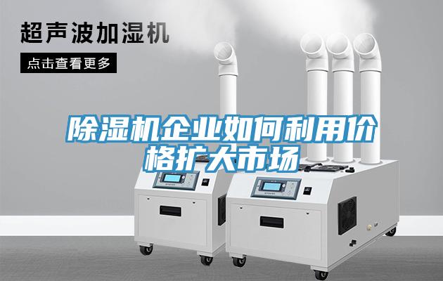 香蕉视频国产企業如何利用價格擴大市場