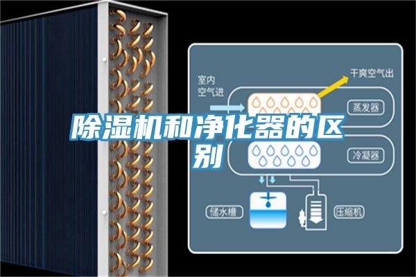 香蕉视频国产和淨化器的區別