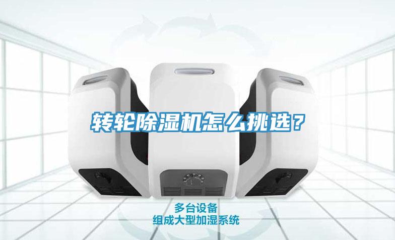 轉輪香蕉视频国产怎麽挑選？
