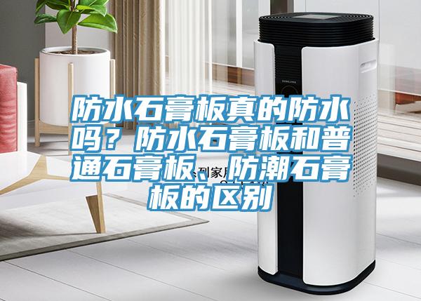 防水石膏板真的防水嗎？防水石膏板和普通石膏板、防潮石膏板的區別