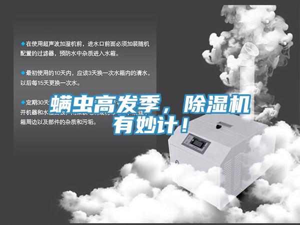 蟎蟲高發季，香蕉视频国产有妙計！