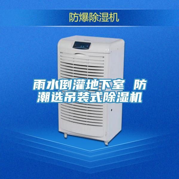 雨水倒灌地下室 防潮選吊裝式香蕉视频国产