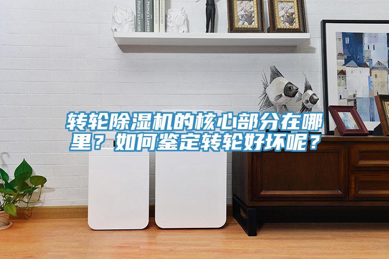 轉輪香蕉视频国产的核心部分在哪裏？如何鑒定轉輪好壞呢？
