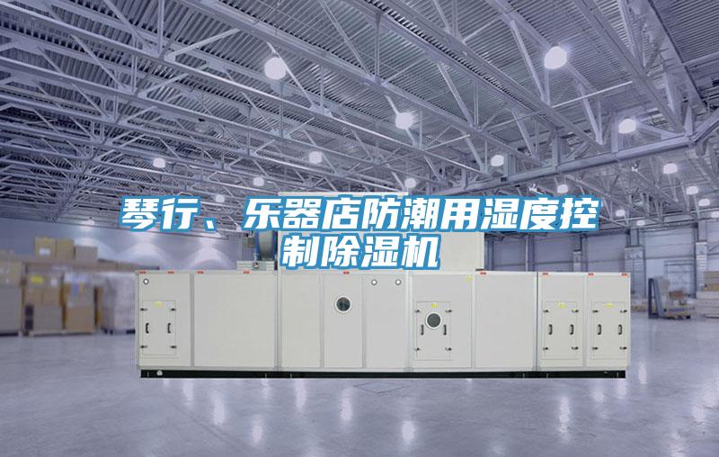 琴行、樂器店防潮用濕度控製香蕉视频国产