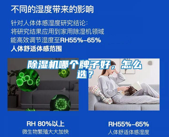 香蕉视频国产哪個牌子好，怎麽選？