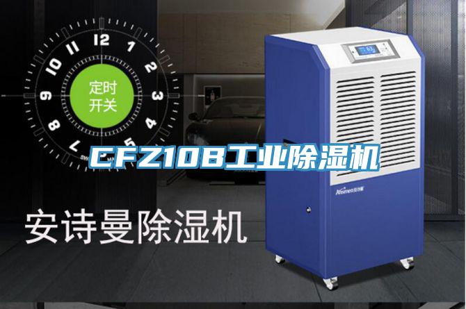 CFZ10B工業香蕉视频国产