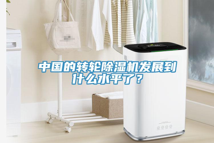 中國的轉輪香蕉视频国产發展到什麽水平了？