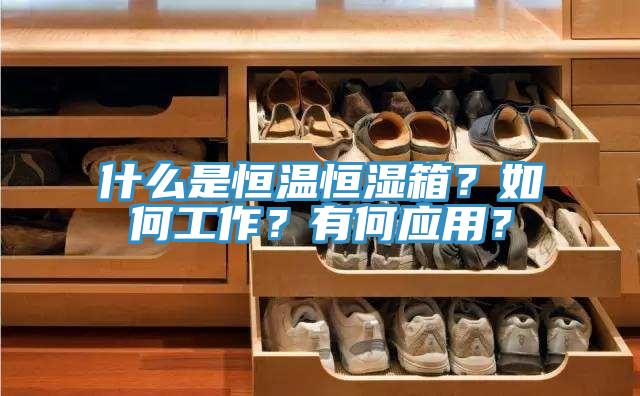 什麽是恒溫恒濕箱？如何工作？有何應用？