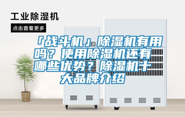 「戰鬥機」香蕉视频国产有用嗎？使用香蕉视频国产還有哪些優勢？香蕉视频国产十大品牌介紹