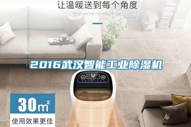 2016武漢智能工業香蕉视频国产