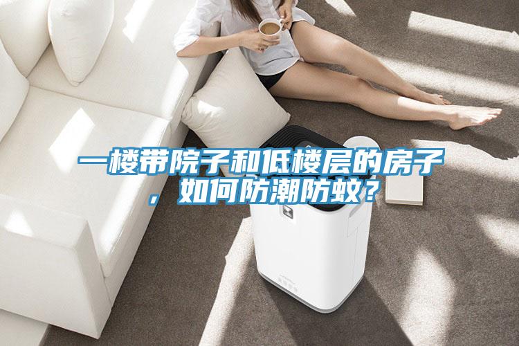 一樓帶院子和低樓層的房子，如何防潮防蚊？