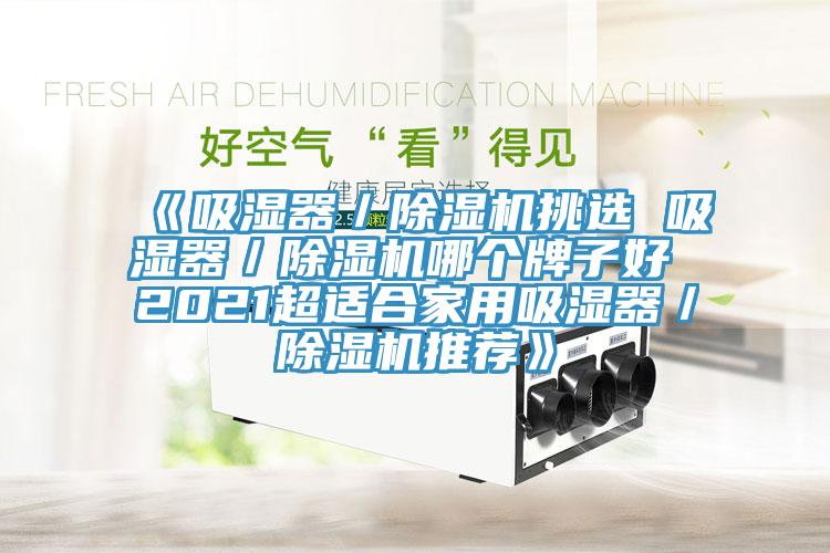 《吸濕器／香蕉视频国产挑選 吸濕器／香蕉视频国产哪個牌子好 2021超適合家用吸濕器／香蕉视频国产推薦》