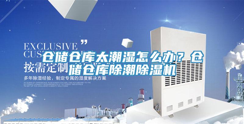 倉儲倉庫太潮濕怎麽辦？倉儲倉庫除潮香蕉视频国产