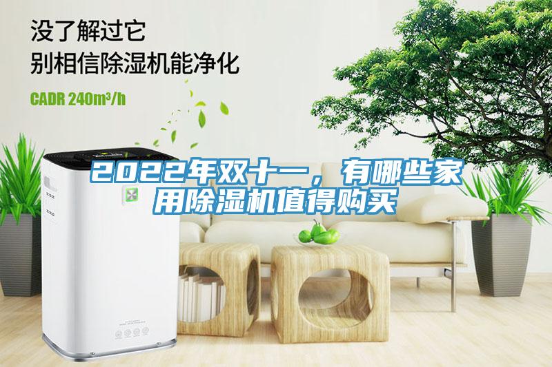 2022年雙十一，有哪些家用香蕉视频国产值得購買