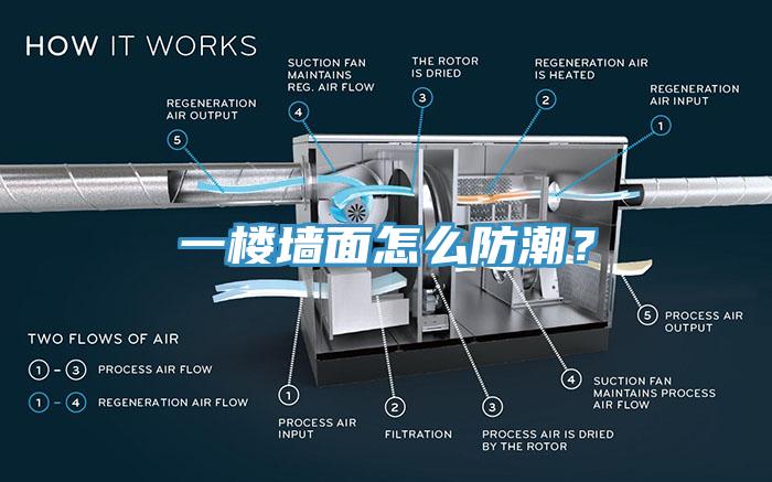 一樓牆麵怎麽防潮？