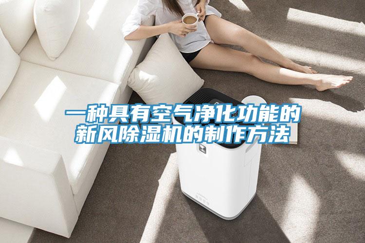 一種具有空氣淨化功能的新風香蕉视频国产的製作方法