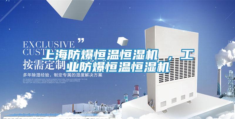 上海防爆恒溫恒濕機 ，工業防爆恒溫恒濕機