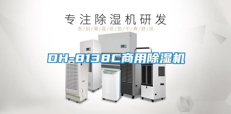 DH-8138C商用香蕉视频国产