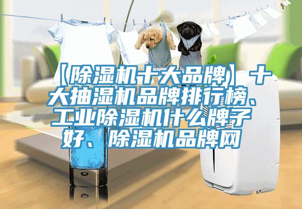 【香蕉视频国产十大品牌】十大抽濕機品牌排行榜、工業香蕉视频国产什麽牌子好、香蕉视频国产品牌網