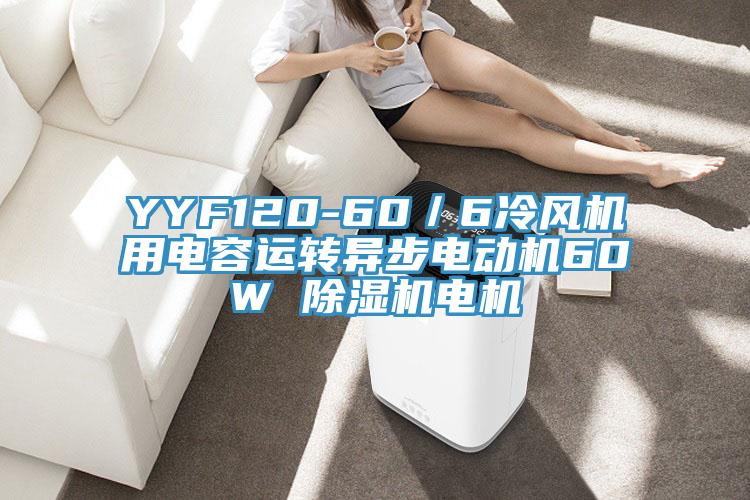 YYF120-60／6冷風機用電容運轉異步電動機60W 香蕉视频国产電機
