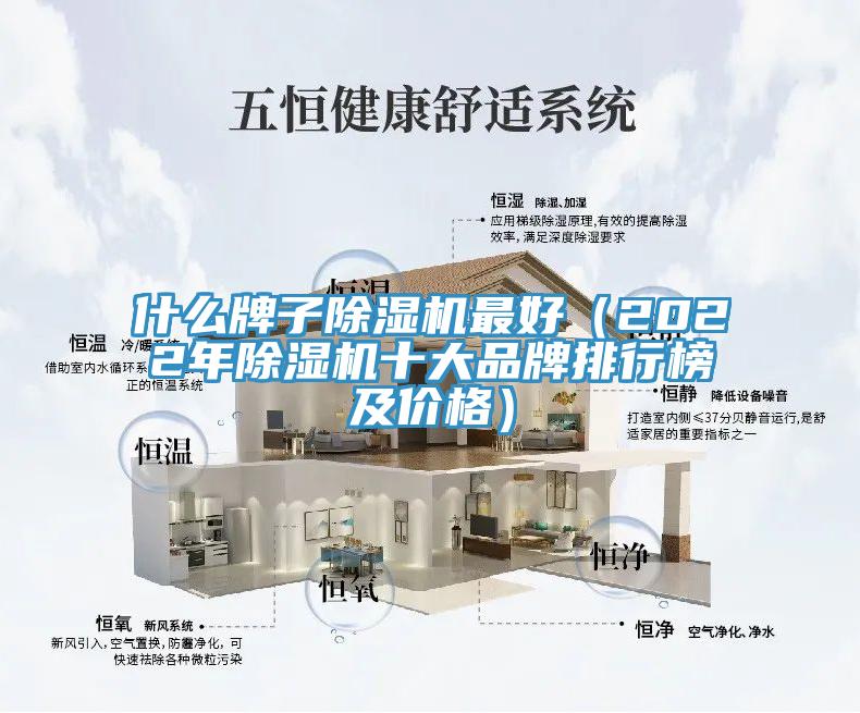 什麽牌子香蕉视频国产最好（2022年香蕉视频国产十大品牌排行榜及價格）