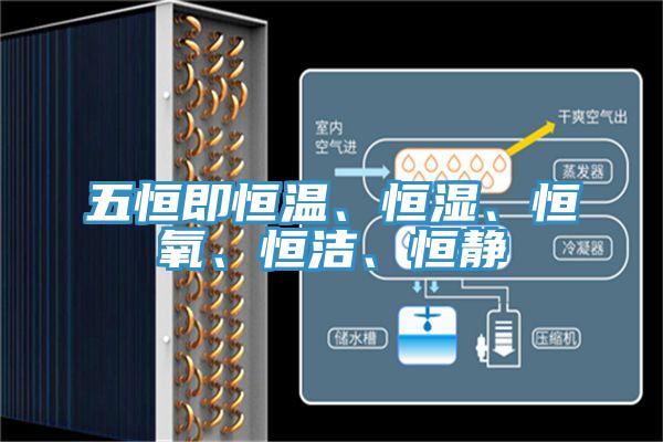 五恒即恒溫、恒濕、恒氧、恒潔、恒靜