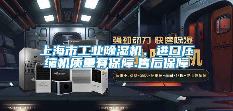 上海市工業香蕉视频国产、進口壓縮機質量有保障.售後保障
