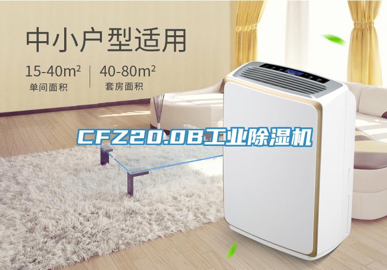 CFZ20.0B工業香蕉视频国产
