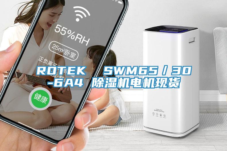 ROTEK  SWM65／30-6A4 香蕉视频国产電機現貨