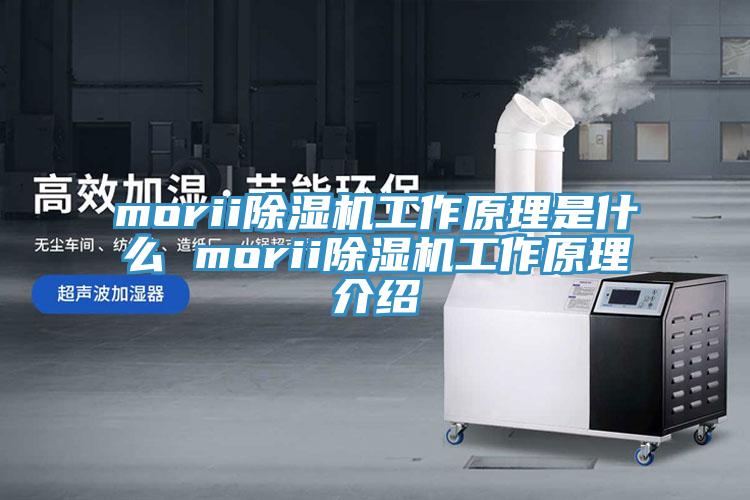 morii香蕉视频国产工作原理是什麽 morii香蕉视频国产工作原理介紹