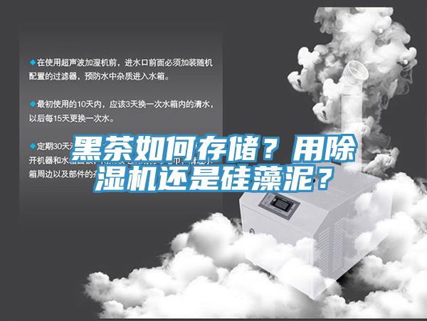 黑茶如何存儲？用香蕉视频国产還是矽藻泥？