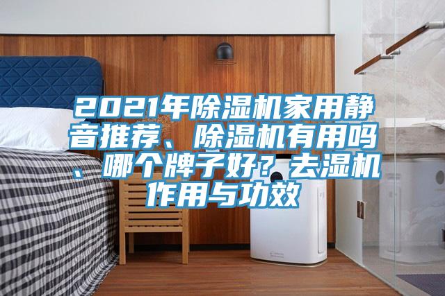 2021年香蕉视频国产家用靜音推薦、香蕉视频国产有用嗎、哪個牌子好？去濕機作用與功效