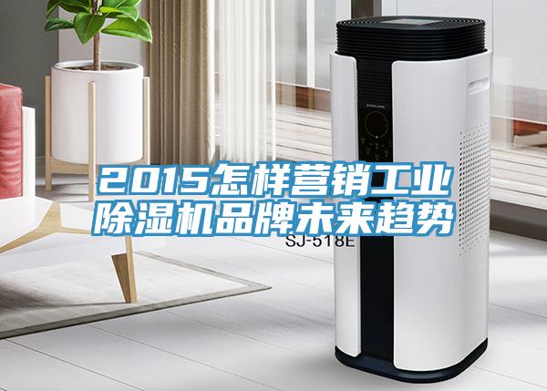 2015怎樣營銷工業香蕉视频国产品牌未來趨勢
