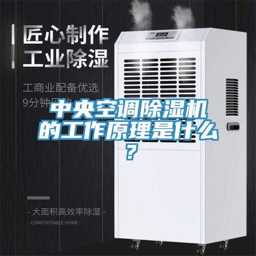 中央空調香蕉视频国产的工作原理是什麽？
