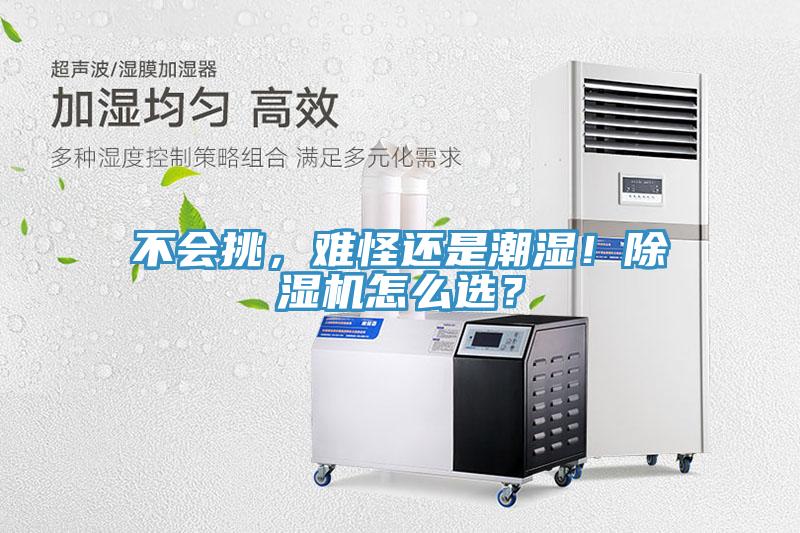 不會挑，難怪還是潮濕！香蕉视频国产怎麽選？