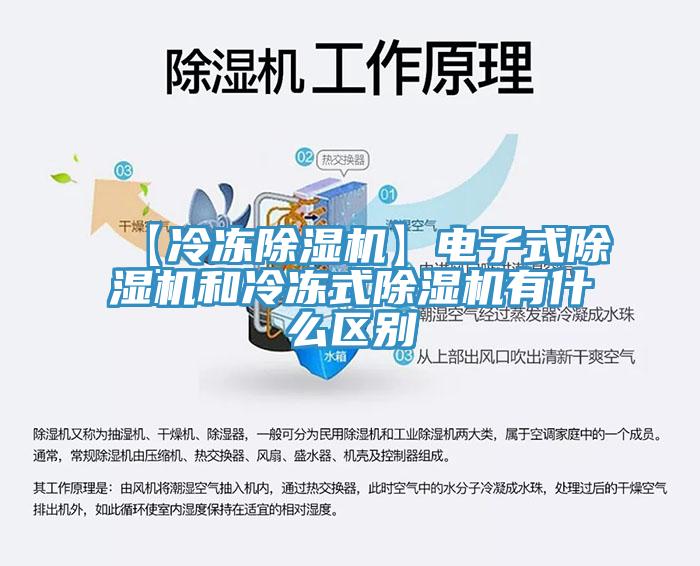 【冷凍香蕉视频国产】電子式香蕉视频国产和冷凍式香蕉视频国产有什麽區別