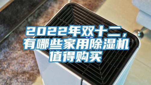 2022年雙十二，有哪些家用香蕉视频国产值得購買